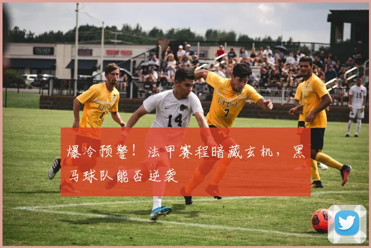 爆冷预警！法甲赛程暗藏玄机，黑马球队能否逆袭