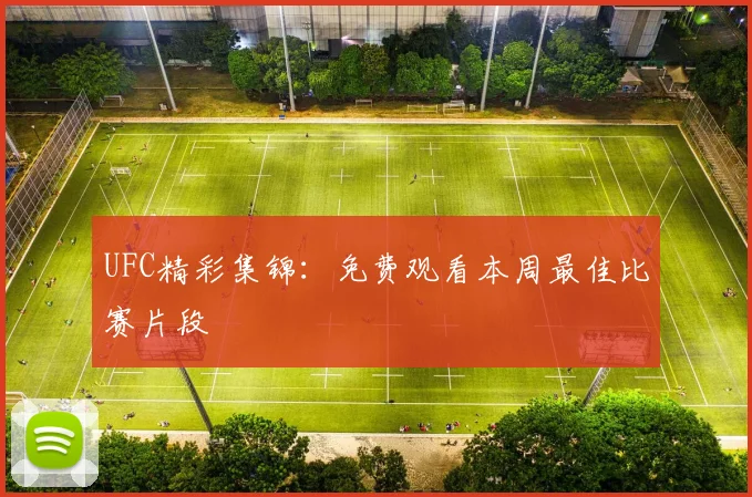UFC精彩集锦：免费观看本周最佳比赛片段