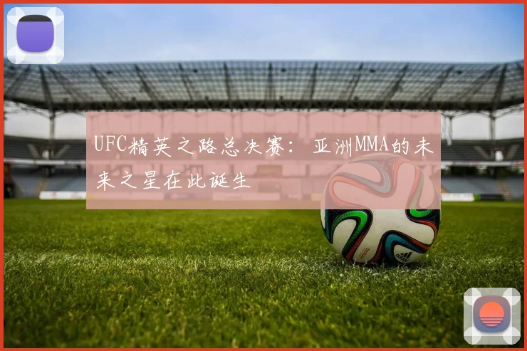 UFC精英之路总决赛：亚洲MMA的未来之星在此诞生