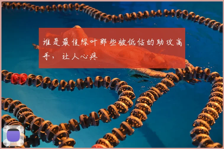 谁是最佳绿叶那些被低估的助攻高手，让人心疼