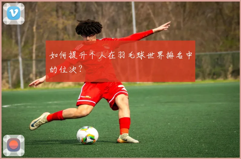 如何提升个人在羽毛球世界排名中的位次？