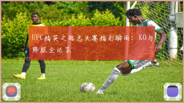 UFC精英之路总决赛精彩瞬间：KO与降服全记录