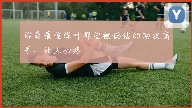 谁是最佳绿叶那些被低估的助攻高手，让人心疼