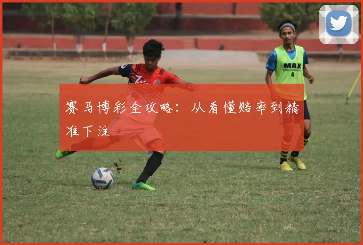 赛马博彩全攻略：从看懂赔率到精准下注