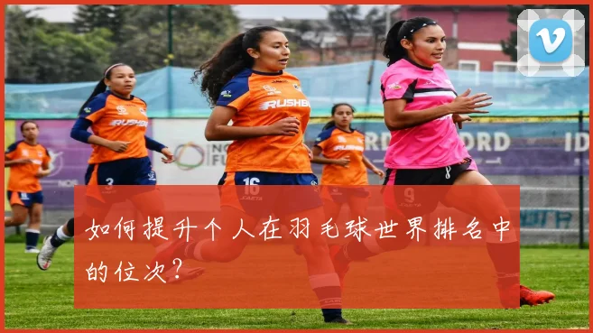 如何提升个人在羽毛球世界排名中的位次？
