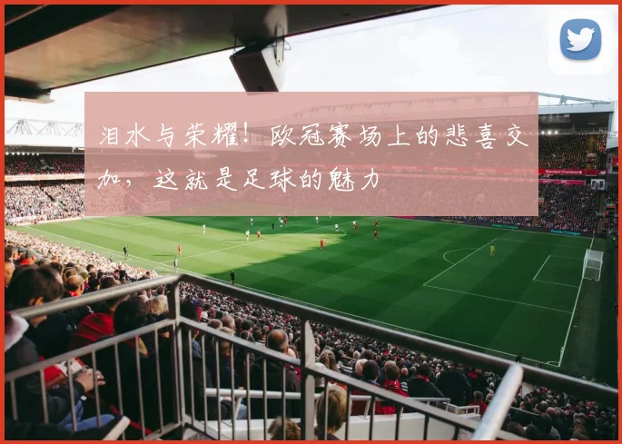 泪水与荣耀！欧冠赛场上的悲喜交加，这就是足球的魅力